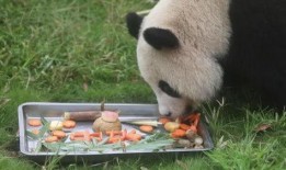 吃瓜乘凉特效,吃瓜乘凉，尽享清凉一夏