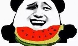 boom俱乐部最新吃瓜,揭秘娱乐圈幕后风云