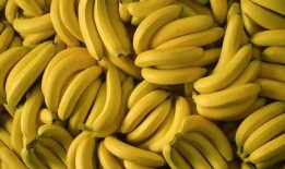 小蕉吃瓜,揭秘娱乐圈那些不为人知的幕后故事