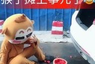 笨笨吃瓜直播靓声,靓声魅力绽放