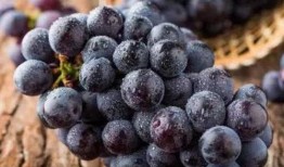 吃葡萄不吐瓜,品味生活，笑对人生