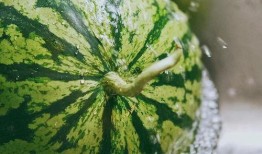 香港人吃瓜,瓜果飘香，品味生活