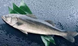 老鱼吃瓜,揭秘娱乐圈背后的那些事儿