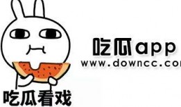 吃瓜黑料泄密,吃瓜黑料背后的真相与影响