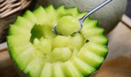 把科技当瓜吃,把科技当瓜吃的趣味探索之旅