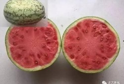 法律中吃的瓜,揭秘网络舆论中的法律边界