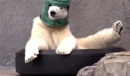 沙雕在线吃瓜,在线狂欢，笑料横生