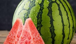 蓝牙吃瓜吴川完整,揭秘吴川的蓝牙美食之旅