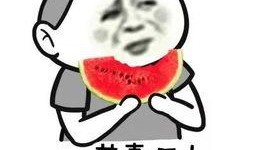 吃瓜群众浩宇妈妈,吃瓜群众的育儿心得分享