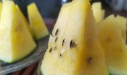 最新吃瓜密码,揭秘明星幕后真相