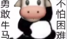 吃瓜牛牛表情,揭秘网络热梗背后的趣味与智慧