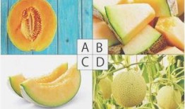 吃瓜测什么生肖最好,吃瓜达人最宜属哪个生肖？