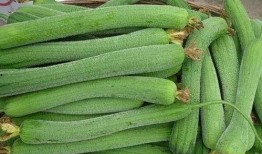 喜欢怎么吃瓜,揭秘“喜欢怎么吃瓜”的独特风味