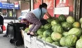 外国大妈吃瓜,揭秘她们的热议话题与社交圈