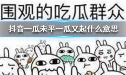 吃瓜是神马意思,网络热词背后的文化现象