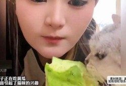 女生发看戏吃瓜,瓜田品百态——女性视角下的娱乐世界