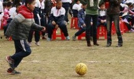 亲子校运会吃瓜比赛,欢乐吃瓜大赛，甜蜜亲子时光