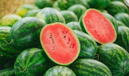 秃崽视频吃瓜,揭秘娱乐圈幕后真相