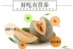 智博长清吃瓜,一场吃瓜盛宴背后的科技魅力