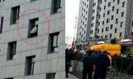 吃瓜群众 无良专家,揭秘“吃瓜群众”与“无良专家”背后的真相