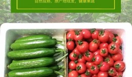 肉装小cherry吃瓜,揭秘电竞女神的瓜田传奇