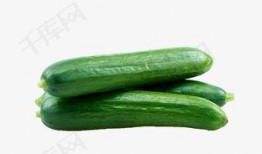 吃瓜小白图片高清