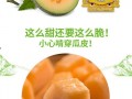 吃白沙蜜瓜,品味白沙蜜瓜的甜蜜诱惑