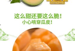 吃白沙蜜瓜,品味白沙蜜瓜的甜蜜诱惑