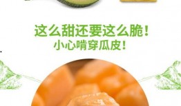 吃白沙蜜瓜,品味白沙蜜瓜的甜蜜诱惑