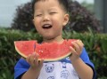 许愿吃瓜后续,揭秘神秘瓜果背后的奇幻之旅