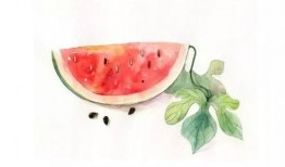 勺子吃瓜喝汤图片,瓜果飘香，汤水滋养