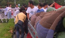 滑县吃瓜事件,一场引发社会关注的网络风波