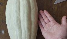 大瓜吃了继续吃小瓜吗,小瓜也难挡诱惑