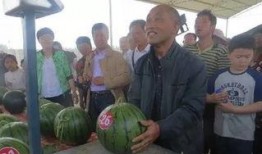 尼伯尔吃瓜群众,吃瓜群众的视角，揭秘热点事件背后的真相