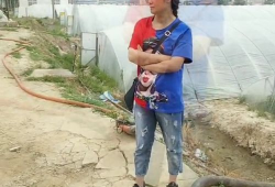 赣榆 吃瓜 由来,民间趣谈与地方风情的交融