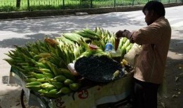 西昌街头吃瓜,市民共享夏日清凉时光