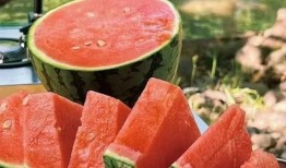 小瞿在吃瓜,揭秘娱乐圈那些不为人知的幕后故事