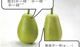 安理吃瓜,揭秘娱乐圈幕后风云