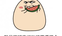 吃瓜 动图,揭秘网络热图的魅力与趣味