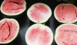 吃瓜测什么生肖最好,吃瓜达人最宜属哪个生肖？