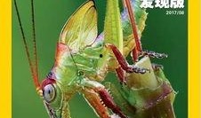 吃瓜乘凉特效,吃瓜乘凉，尽享清凉一夏