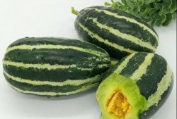 芒瓜尖怎么吃,探索美味与营养的完美结合