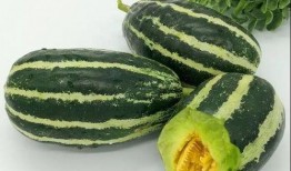 芒瓜尖怎么吃,探索美味与营养的完美结合