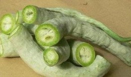 长蛇瓜怎么吃,探索美味与营养的完美结合
