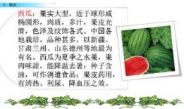 吃瓜34页ppt,娱乐圈幕后真相大曝光