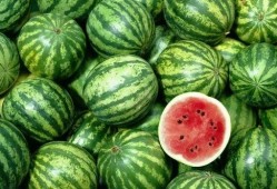 网络吃瓜吃撑了怎么恢复,如何轻松恢复身心平衡