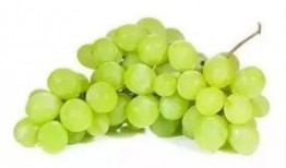 吃葡萄不吐瓜,品味生活，笑对人生