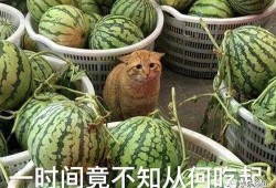 邻居吃瓜,揭秘邻居们的秘密生活