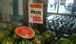 香港人吃瓜,瓜果飘香，品味生活