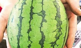 安徽宣城吃瓜事件